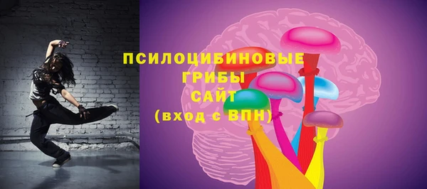 твердый Алзамай